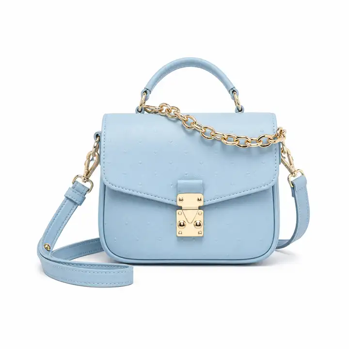 Handbag 0021